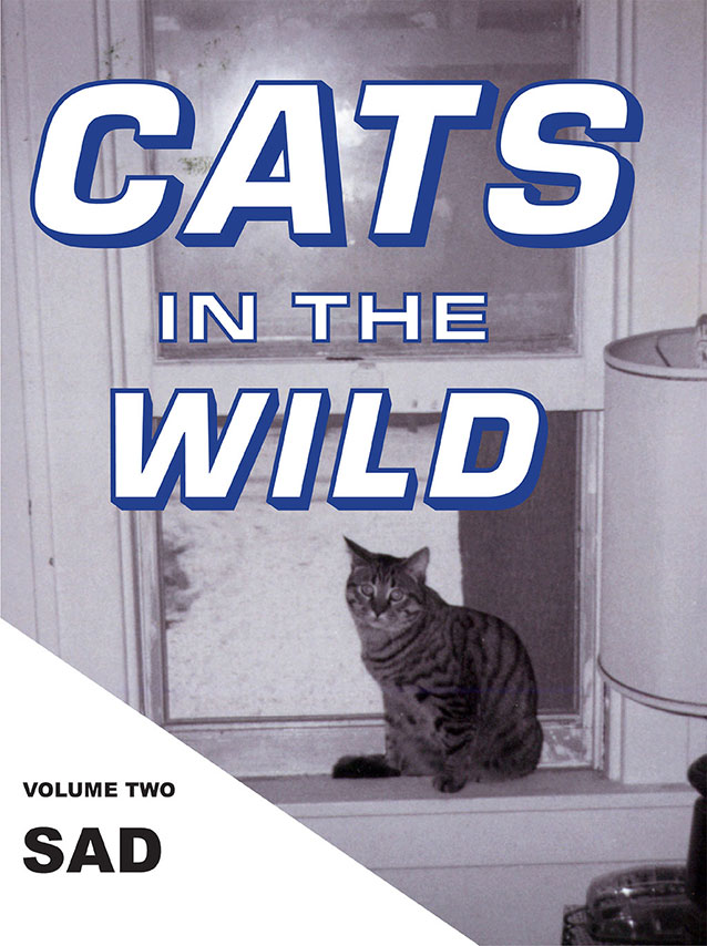 Cats in the Wild: Sad