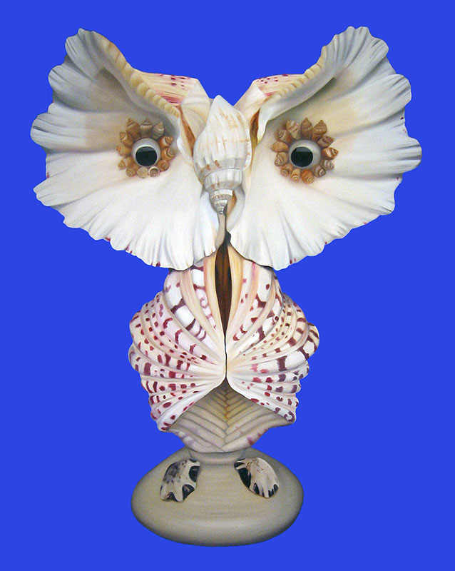 Sea Shell Owl